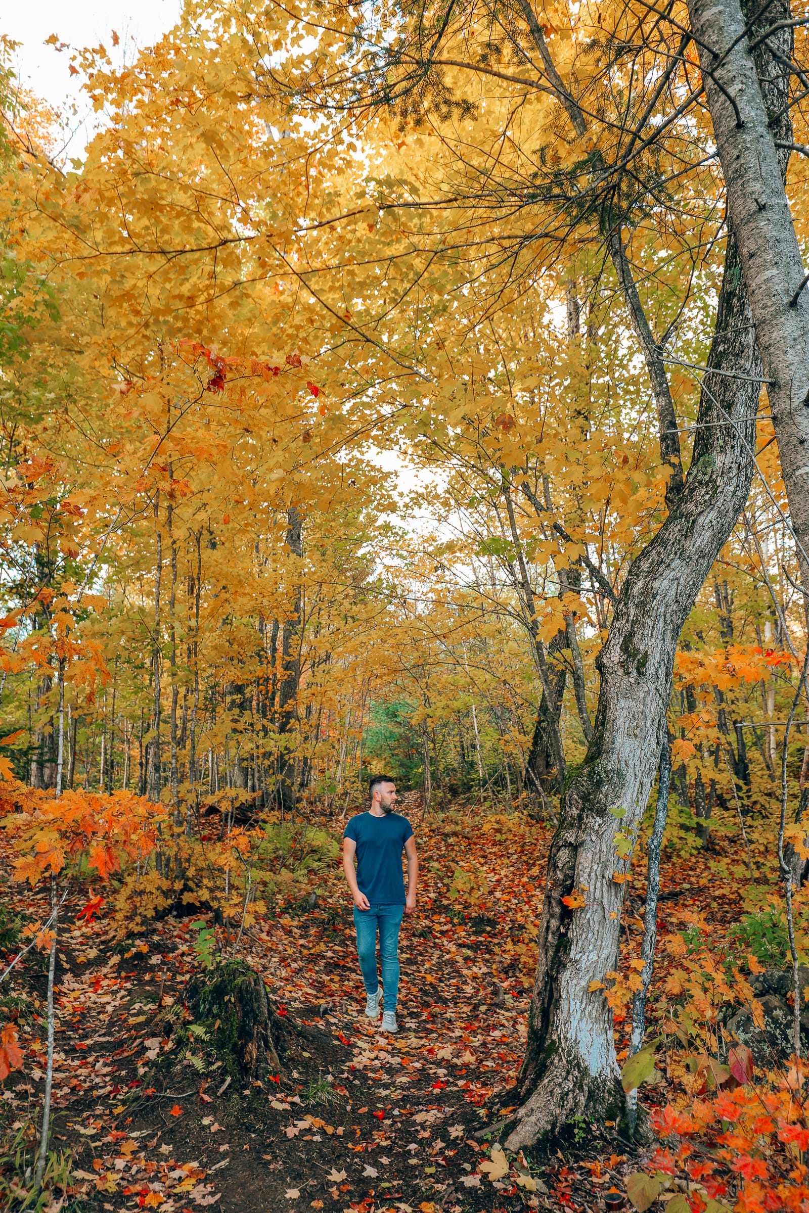 Getting Lost In Nature (And With Beavers) In Quebec, Canada (10)