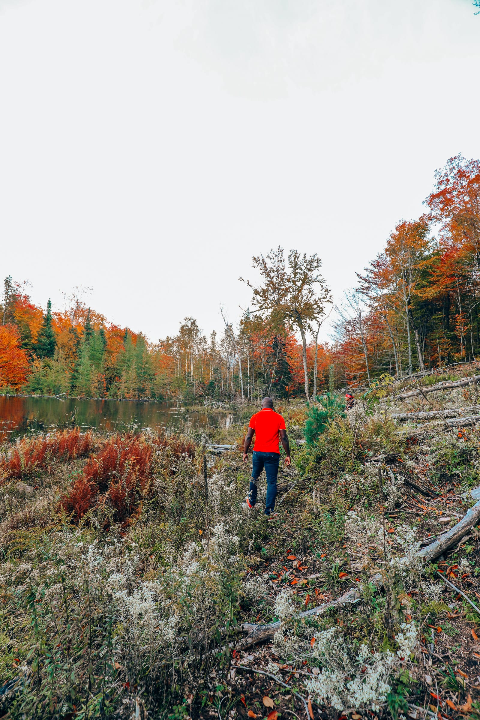 Getting Lost In Nature (And With Beavers) In Quebec, Canada (21)