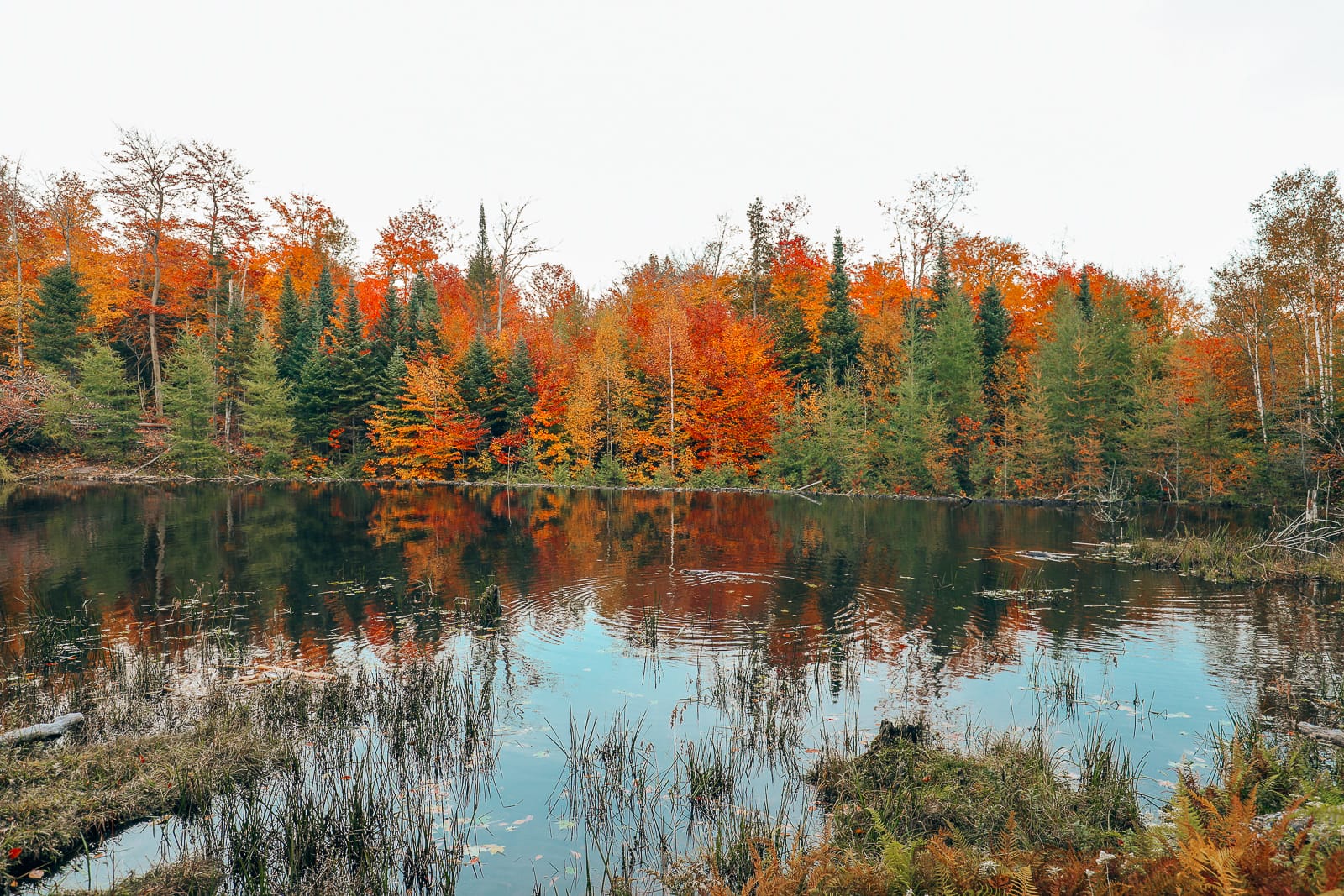 Getting Lost In Nature (And With Beavers) In Quebec, Canada (22)