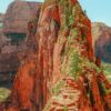 12 Best Things To Do In Zion National Park, USA