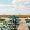 The Everglades In Florida, USA – Things To Know Before You Visit