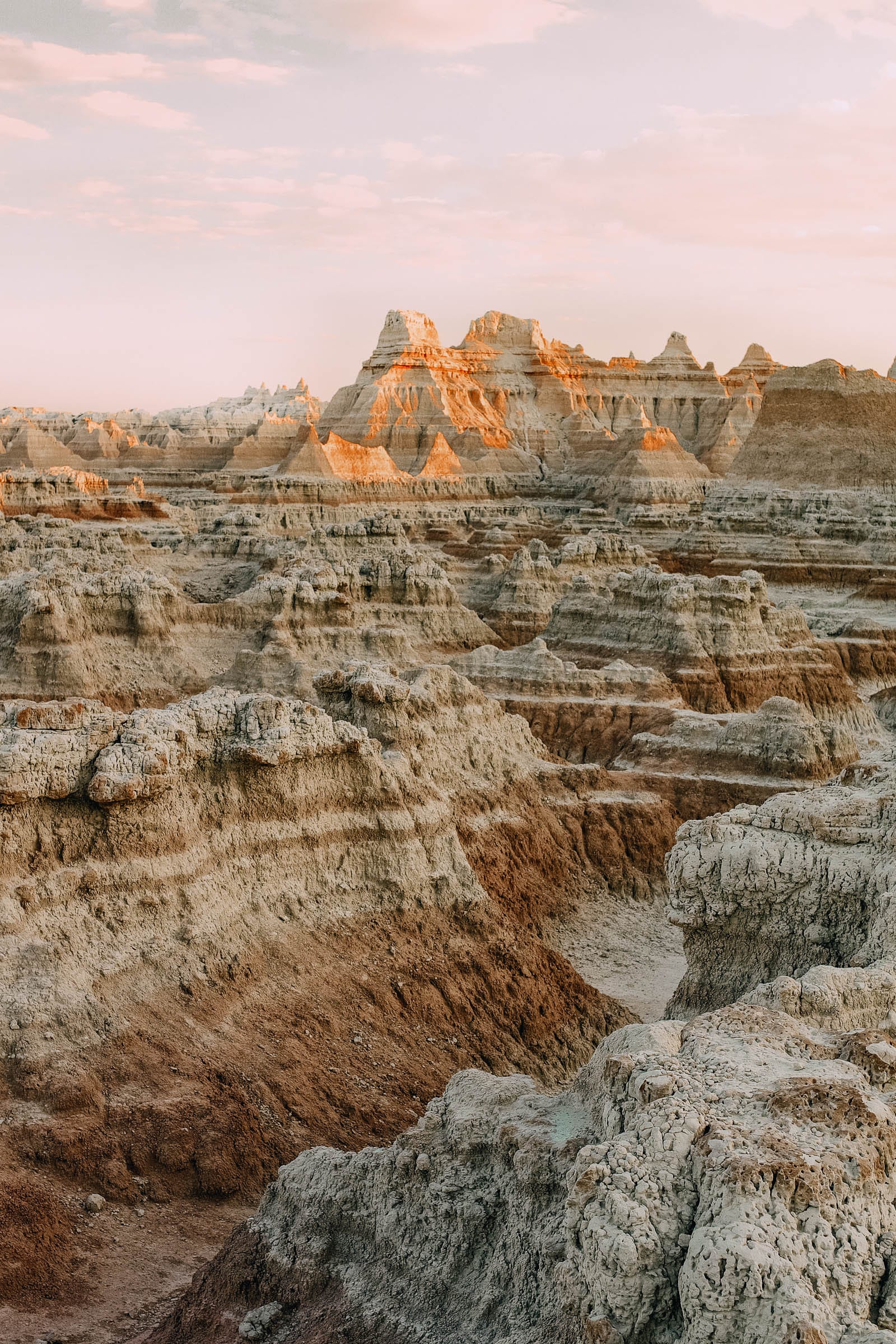 are dogs allowed badlands national park