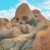 11 Best Things To Do In Joshua Tree National Park