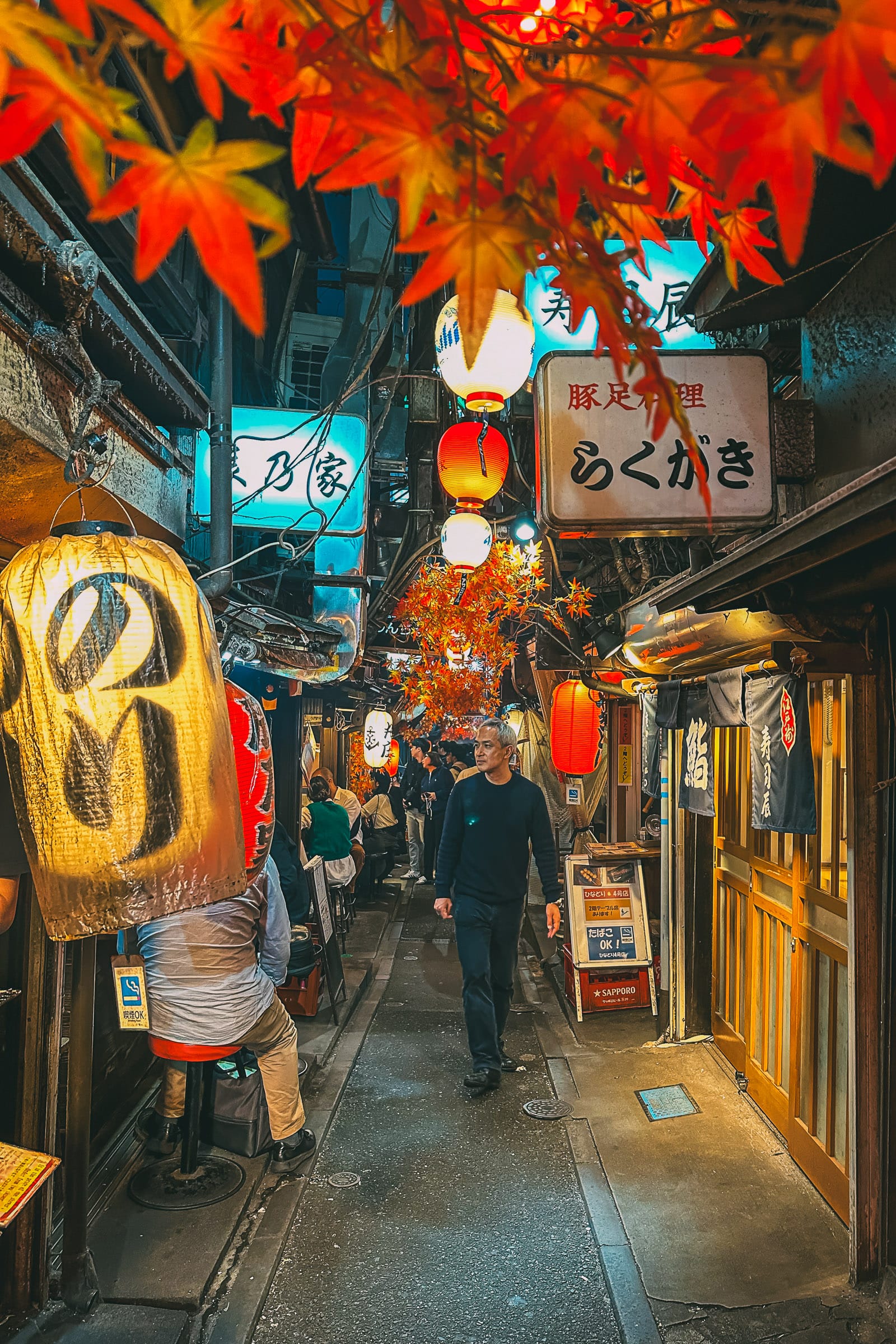 16 Very Best Places In Japan To Visit - Hand Luggage Only - Travel ...