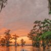 10 Best Places In Louisiana To Visit